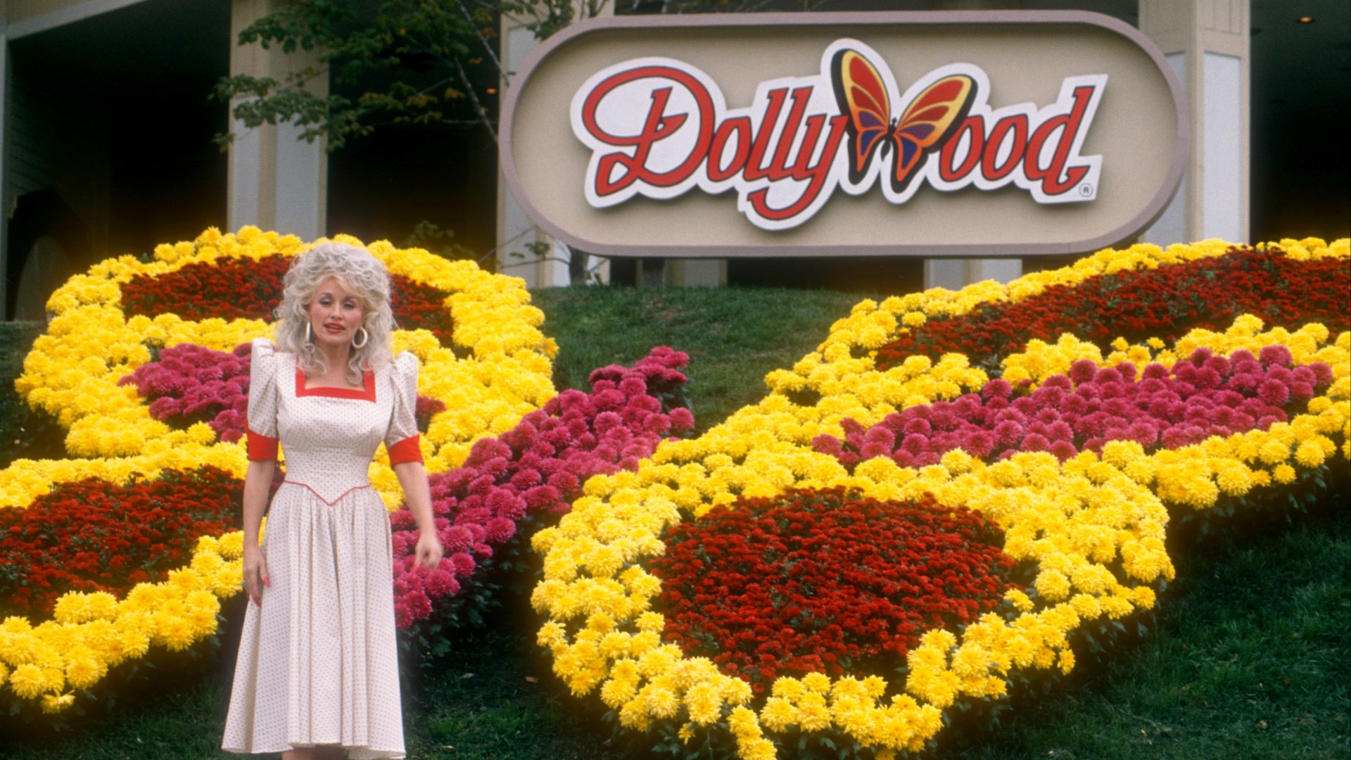 Why is 'Is Dolly Parton's theme park Dollywood clo... DOLLYWOOD Shotoe