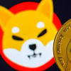 Shiba Inu coin