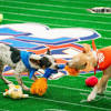 Puppy Bowl 2024