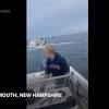 Whale capsizes boat