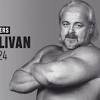 Kevin Sullivan